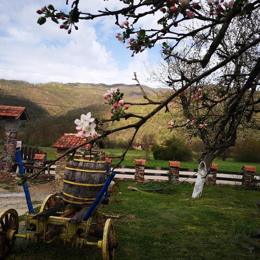 Etno Konak Angela Kalna Exterior foto
